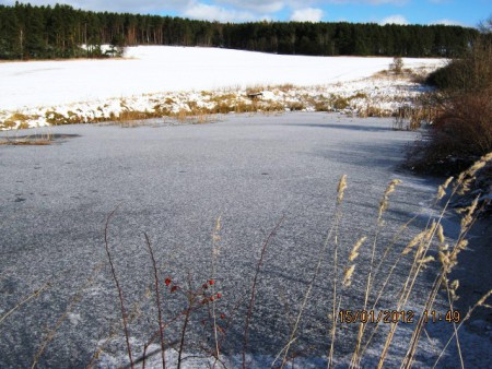 malý rybník